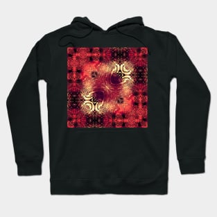 SQUARE VARİATİONS İN RED GLASS Hoodie